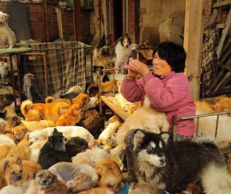 EMOȚIONANT. O bătrână a călătorit 2.500 de KILOMETRI prin China dintr-un motiv ULUITOR I GALERIE FOTO