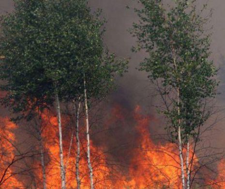 IPOTEZĂ ȘOC. Incendiul din Ucraina ar fi fost declanșat intenționat