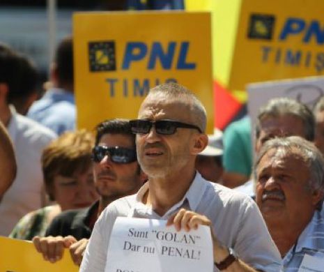Miting RAHITIC anti – Ponta la Timișoara I GALERIE FOTO - VIDEO