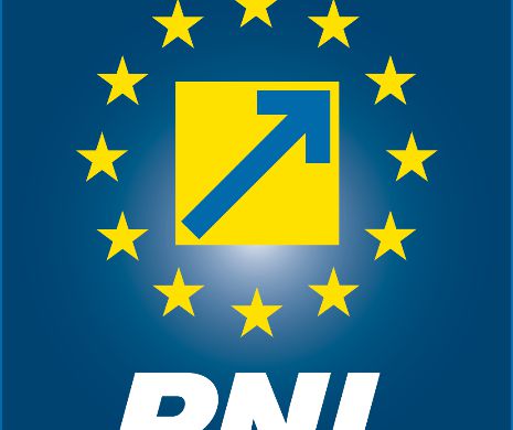 PNL cere convocarea unui plen comun pentru votarea directorului SIE