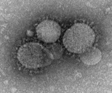 Un coronavirus face ravagii în Coreea de Sus. Cătălin Apostolescu, medic la Institutul Matei Balș: “Orice țară este expusă”