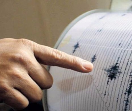 Asiguratorii: Putem face față obligațiilor de plată în cazul unui cutremur ca cel din 1977!