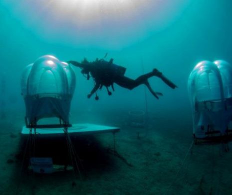 Căpşuni, fasole şi salată crescute la şapte metri sub apă. Incursiune extraordinară în “Grădina lui Nemo” | GALERIE FOTO