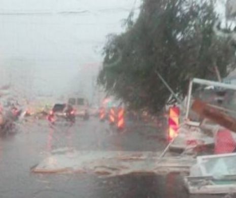Furtună DEVASTATOARE la Iași după caniculă: copaci au căzut peste mașini, străzile au devenit adevărate râuri