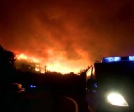 Incendiu de proporţii într-o pădure. Zeci de locuitori din localitatea din APROPIERE au fost evacuaţi | GALERIE FOTO