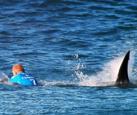 Omul care a scăpat de MOARTE după ce a BĂTUT rechinul dezvăluie: "Când am mâncat prima dată, m-am simţit ca la propriul PRIVEGHI" | FOTO şi VIDEO