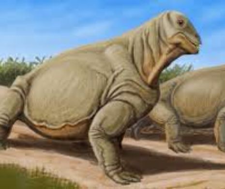 Pana la 80% dintre toate vertebratele terestre au disparut in urma cu 260 de milioane de ani