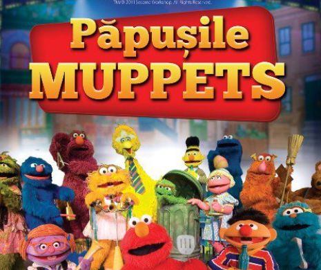 Celebrele Păpusi Muppets vin, în premieră, la Bucureşti