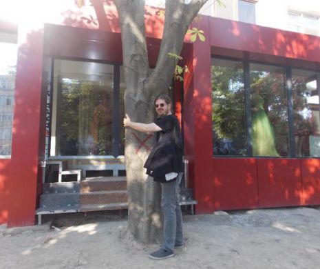 Copac salvat de la “execuţie” de Remus Cernea şi protestari constănţeni