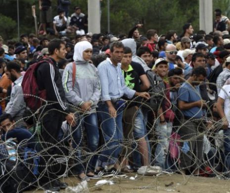 CRIZA imigranţilor ia amploare. Armata bulgară, trimisă la frontierele cu Grecia şi Macedonia