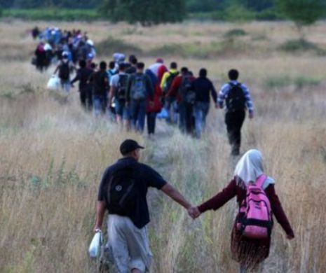 Criza imigranţilor: peste 7000 de oameni au sosit în Serbia într-o singură noapte