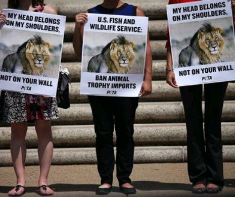 Devalorizarea Omului! De ce Leul Cecil ne INDIGNEAZĂ mai mult decât crimele ISIS. Și de ce Remus Cernea cere DREPTURI speciale pentru Delfini