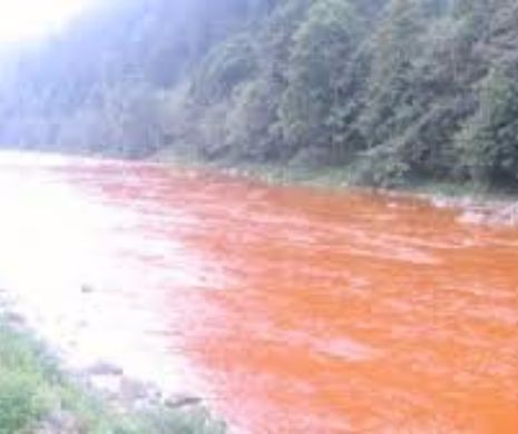 DEZASTRU ECOLOGIC. Râul Bistriţa a fost POLUAT cu peste un MILION de litri de substanţe TOXICE