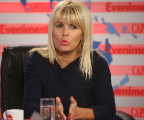 Elena Udrea: Cazul Rarinca, un PRECEDENT PERICULOS pentru democraţie