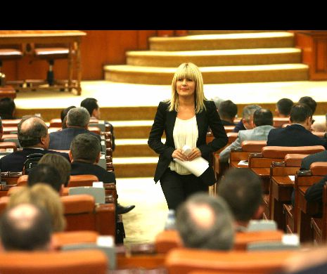 Elena Udrea:  O să mă întorc în Parlament, sunt lucruri de făcut. Am promis reglementarea situației arestului preventiv
