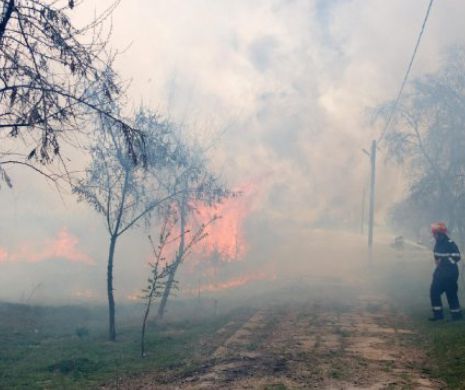 Exasperaţi de numărul mare al incendiilor de mirişte, pompierii ISU Dobrogea “ard” la portofel proprietarii vinovaţi