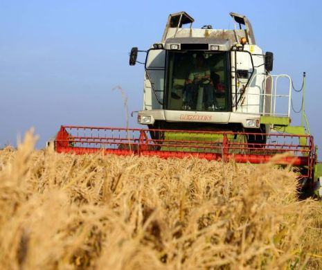FRANȚA, recoltă record de grâu în 2015