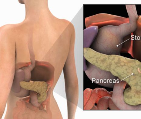 Greața și durerea de stomac, primele simptome ale unuia dintre cele mai agresive tipuri de cancer
