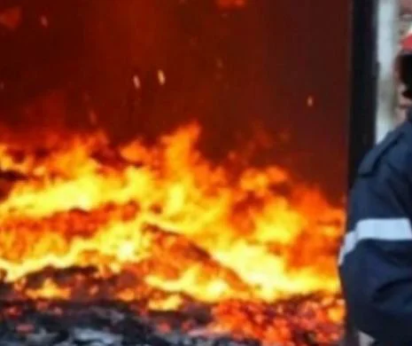 Hunedoara: Incendiu într-o pădure din Retezat