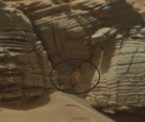 Imagini neaşteptate surprinse de roverul Curiosity. CREATURA care umblă pe rocile de pe MARTE | FOTO şi VIDEO