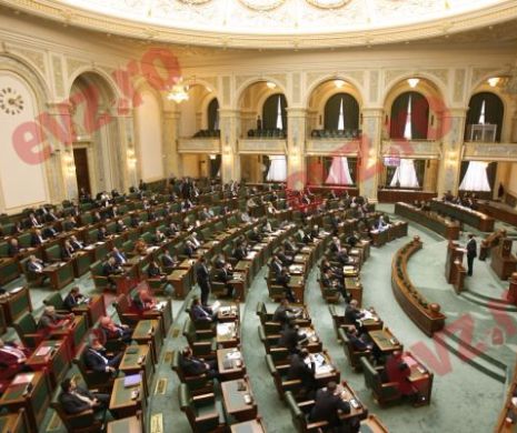 Senatul dezbate în sesiune extraordinară reexaminarea Codului fiscal