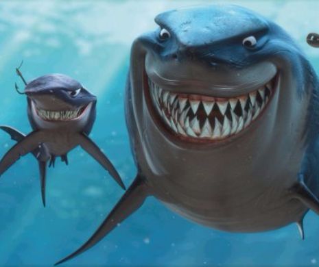 „Shark Week” isi arata din nou coltii pe Discovery Channel