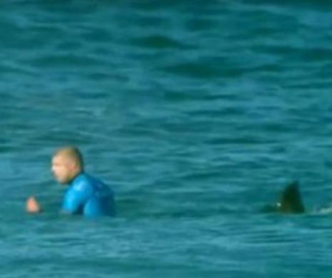 Surferi atacaţi de rechini mai ceva ca-n FĂLCI. VIDEO şocant