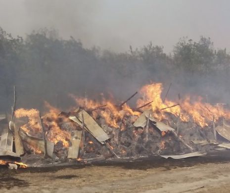 Un incendiu DEVASTATOR pune în pericol șantierul autostrăzii Deva – Lugoj I FOTO
