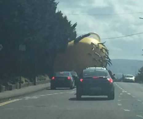 Un Minion gigant a speriat şoferii din Irlanda | GALERIE FOTO