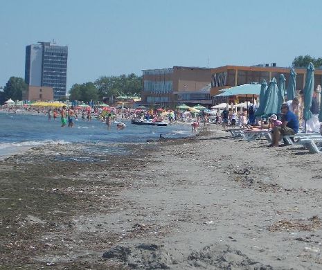 Americanii de la Baza Kogălniceanu ne curăţă plajele de gunoaie