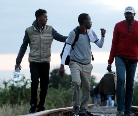 Austria are unul din cele mai ridicate procente de solicitanți de azil din UE
