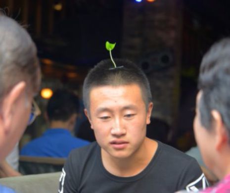 Cu flori și iarbă în vârful capului. O nouă modă face furori în China | GALERIE FOTO