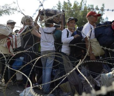 DIICOT: Traficanți de migranți, trimiși în judecată