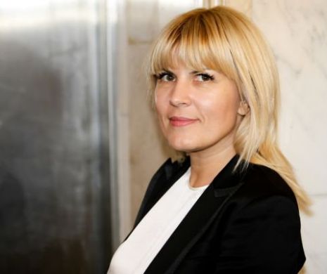 Elena Udrea: Tocmai am votat Codul Fiscal, a doua oară