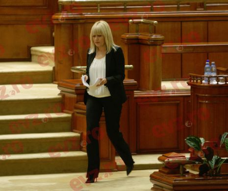 Elena Udrea: Voi încerca să fiu un parlamentar foarte activ
