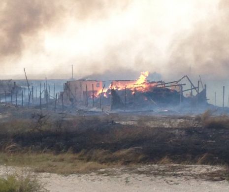 EXCLUSIV EVZ. Martor ocular la incendiul care a devastat Rezervaţia Delta Dunării: "Dacă nu ne ajutam unii pe ceilalţi, ardeam ca şobolanii"