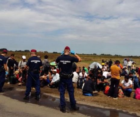 MAE îi avertizează pe cei care merg în Danemarca: întârzieri la frontiera daneză, din cauza evoluţiilor privind fluxul de refugiaţi