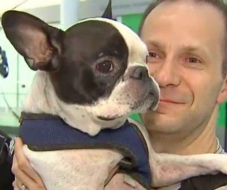 Pilotul unui avion al Air Canada a schimbat ruta pentru a salva viaţa unui câine