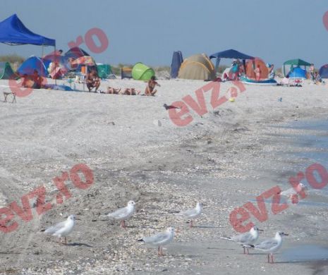 Adio campare pe plajele de la Vadu sau Corbu! Autoritățile au pus piciorul în prag