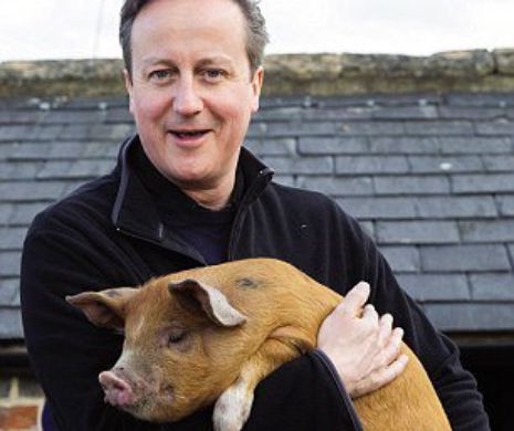 Povestea porcului violat de un important politician. David Cameron a vorbit în premieră despre cartea în care este acuzat că a făcut lucruri şocante