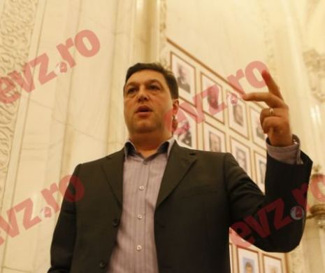 Şerban Nicolae vrea amânarea alegerilor pentru şefia PSD