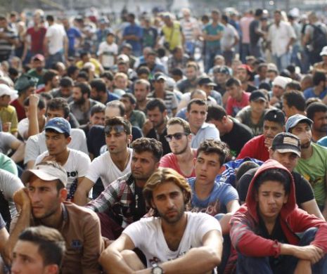 Veste URIASA pentru refugiatii din Germania! Anuntul a fost facut in urma cu putin timp