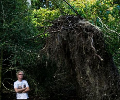 Credeai că trendul "ECO" este nou? Arheologii au făcut CEA mai mare DESCOPERIRE |  FOTO