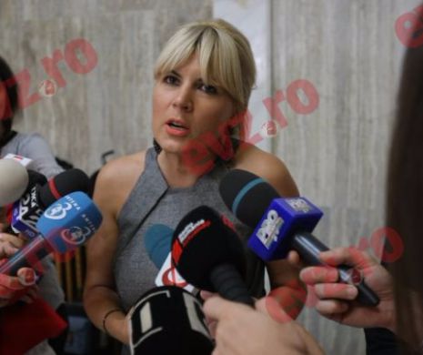 Deputaţii vor vota cererea de reţinere şi arestare a Elenei Udrea miercurea viitoare
