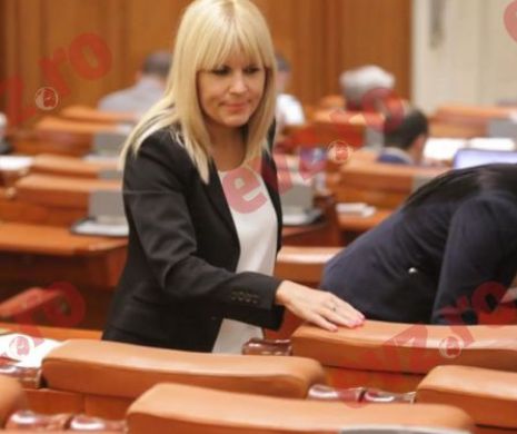 Deputaţii votează azi cererile DNA privind urmărirea penală, reţinerea şi arestarea Elenei Udrea