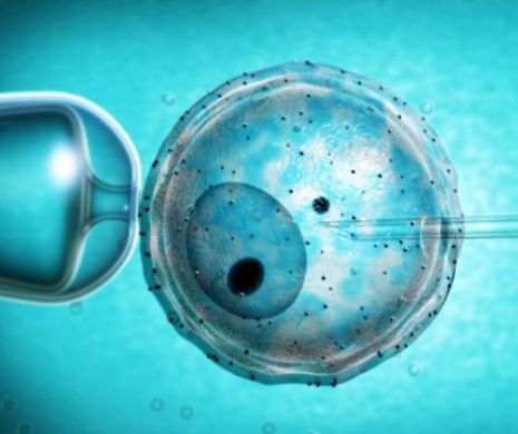 DESCOPERIRE UIMITOARE. Femeile infertile care apelează la ovule donatoare, le transmit COPIILOR din ADN-ul propriu | VIDEO