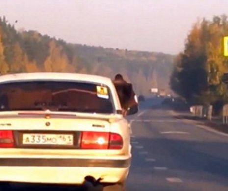 Doar în Rusia: Un urs se plimbă cu maşina pe autostradă. Poliţiştii NU l-au amendat pentru că avea CENTURA pusă | VIDEO