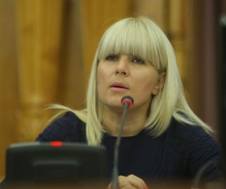 Elena Udrea a cerut ridicarea controlului judiciar. Instanța a rămas în pronunțare