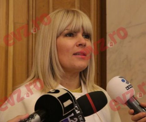 Elena Udrea, audiată la DNA: Dacă eram chemată înainte de circul cu arestarea aş fi dat declaraţii atunci