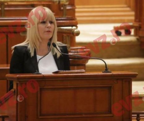 Elena Udrea: „Reţinerea mea nu va fi decât o LOVITURĂ de imagine pentru DNA”